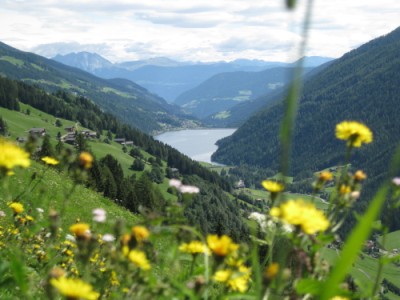 Das Tal im Frühling